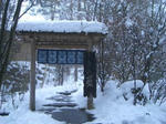 yuki21.1.22.jpg