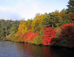 kouyou21.10.01.jpg