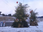 donndo22.01.13.jpg