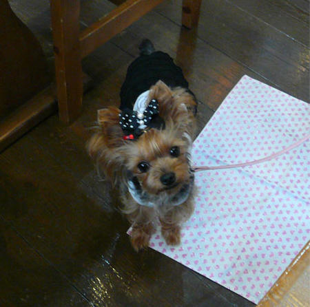 111014ninna4.jpg