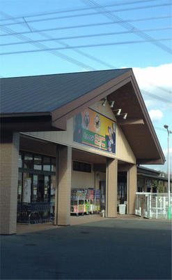 2f9ec065.jpg
