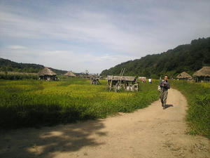 Image3.jpg