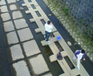 NEC_0068.JPG