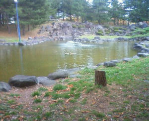 NEC_0069.JPG