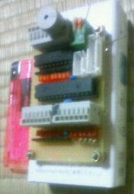 NEC_0167.JPG