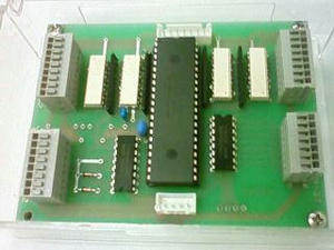 NEC_0029.JPG