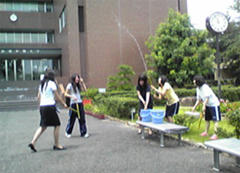 nc843.jpg