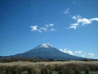 IMG_0349_R.jpg