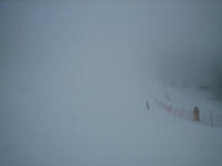 IMG_0385_R.jpg