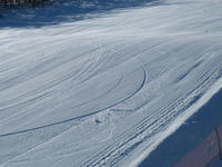 IMG_0448_R.jpg