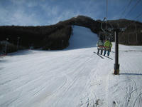 IMG_0481_R.jpg