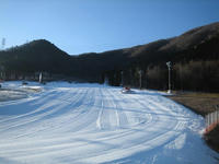 IMG_0569_R.jpg