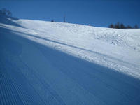 IMG_0309_R.jpg
