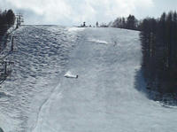 5251f1d7.jpg