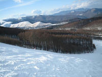 IMG_0424_R.jpg