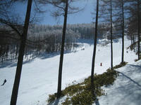 IMG_0850_R.jpg