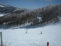 IMG_0853_R.jpg