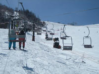 IMG_0133_R.jpg