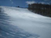 IMG_0225_R.jpg