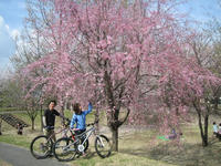 IMG_0595_R.jpg