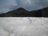 IMG_0602_R.jpg