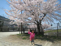 IMG_0289_R.jpg