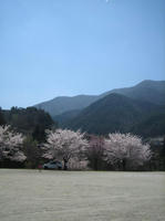 IMG_0293_R.jpg