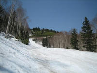 IMG_0663_R.jpg