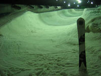 IMG_0272_R.jpg