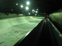 IMG_0273_R.jpg
