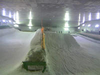 TS380404_R.jpg