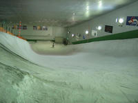 IMG_0319_R.jpg