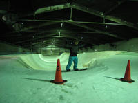 IMG_0367_R.jpg