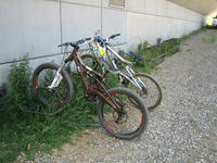 IMG_0502_R.jpg