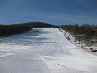 IMG_1423_R.JPG