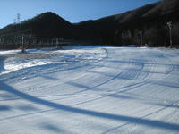 IMG_1406_R.JPG