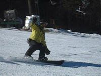 c9087086.jpg