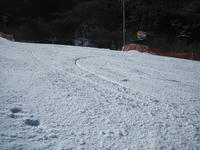 IMG_1300_R.JPG