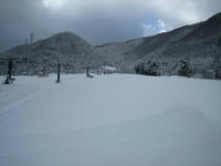 IMG_1484_R.JPG