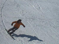 88427f07.jpg