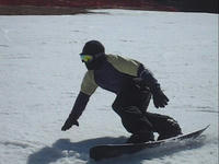 dee99015.jpg