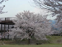 P1060649_R.JPG