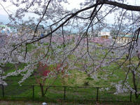 P1060650_R.JPG