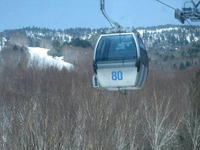 IMG_0730_R.JPG