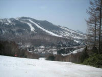 IMG_0703_R.JPG