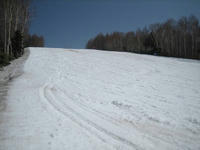 IMG_0702_R.JPG