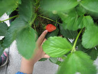 IMG_0772_R.JPG