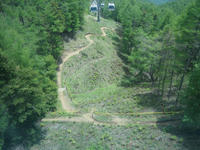 b853ccff.JPG
