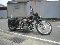 IMG_68070001.jpg