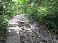 IMG_4379_R.JPG